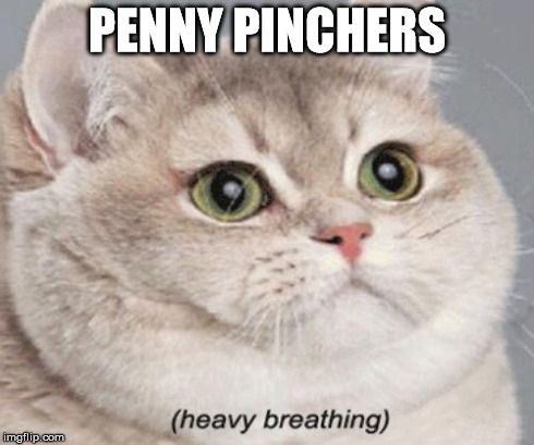 Heavy Breathing Cat | PENNY PINCHERS | image tagged in heavy breathing cat | made w/ Imgflip meme maker