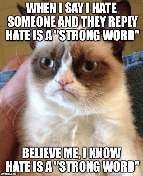 Grumpy Cat | WHEN I SAY I HATE SOMEONE AND THEY REPLY HATE IS A "STRONG WORD" BELIEVE ME, I KNOW HATE IS A "STRONG WORD" | image tagged in memes,grumpy cat | made w/ Imgflip meme maker