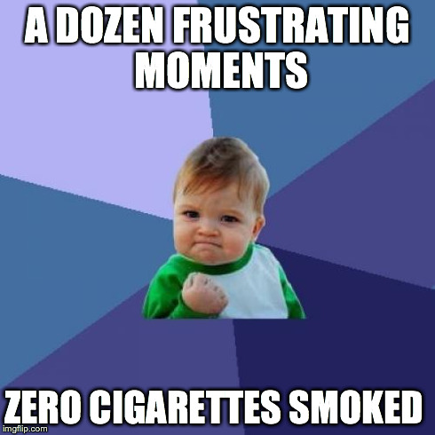 Success Kid | A DOZEN FRUSTRATING MOMENTS ZERO CIGARETTES SMOKED | image tagged in memes,success kid,AdviceAnimals | made w/ Imgflip meme maker
