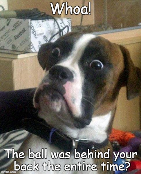 Surprise | Whoa! The ball was behind your back the entire time? | image tagged in surprise,dogs,boxer,funny,memes | made w/ Imgflip meme maker