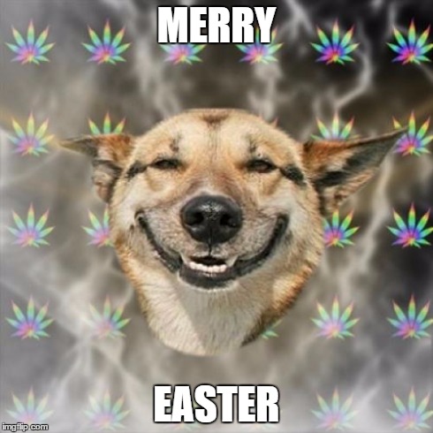 Stoner Dog Meme | MERRY EASTER | image tagged in memes,stoner dog | made w/ Imgflip meme maker