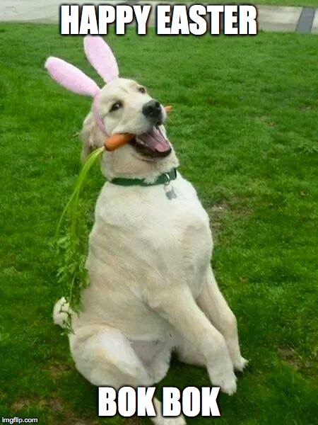 Happy Easter  | HAPPY EASTER BOK BOK | image tagged in easter,dog | made w/ Imgflip meme maker