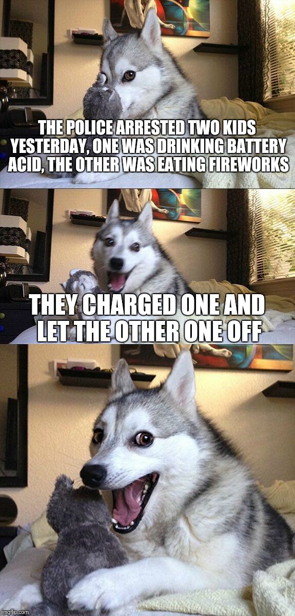 I'm not sure if this is a repost, my friend told it to moi | THE POLICE ARRESTED TWO KIDS YESTERDAY, ONE WAS DRINKING BATTERY ACID, THE OTHER WAS EATING FIREWORKS THEY CHARGED ONE AND LET THE OTHER ONE | image tagged in memes,bad pun dog | made w/ Imgflip meme maker