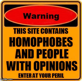 Warning Sign | THIS SITE CONTAINS HOMOPHOBES AND PEOPLE WITH OPINIONS ENTER AT YOUR PERIL | image tagged in memes,warning sign | made w/ Imgflip meme maker