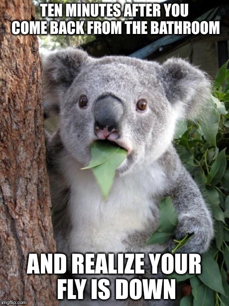 Surprised Koala Meme | TEN MINUTES AFTER YOU COME BACK FROM THE BATHROOM AND REALIZE YOUR FLY IS DOWN | image tagged in memes,surprised koala | made w/ Imgflip meme maker