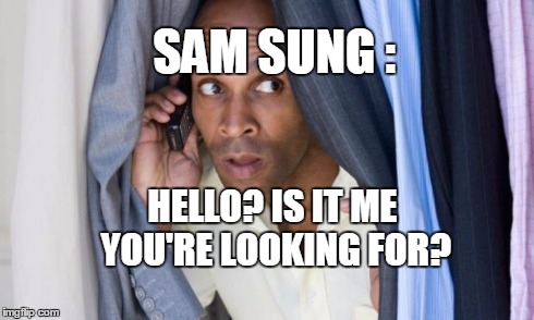 man in closet on phone | SAM SUNG : HELLO? IS IT ME YOU'RE LOOKING FOR? | image tagged in man in closet on phone | made w/ Imgflip meme maker
