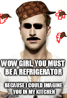 Ryan knows how to get along with the women. | WOW GIRL, YOU MUST BE A REFRIGERATOR BECAUSE I COULD IMAGINE YOU IN MY KITCHEN | image tagged in memes,ryan gosling,scumbag | made w/ Imgflip meme maker