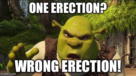 ONE ERECTION? WRONG ERECTION! | image tagged in pissed shrek | made w/ Imgflip meme maker