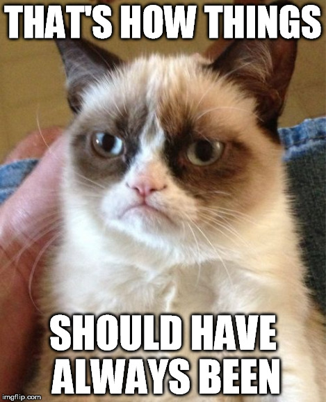 THAT'S HOW THINGS SHOULD HAVE ALWAYS BEEN | image tagged in memes,grumpy cat | made w/ Imgflip meme maker