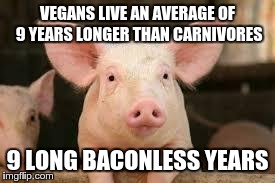 pig | VEGANS LIVE AN AVERAGE OF 9 YEARS LONGER THAN CARNIVORES 9 LONG BACONLESS YEARS | image tagged in pig | made w/ Imgflip meme maker