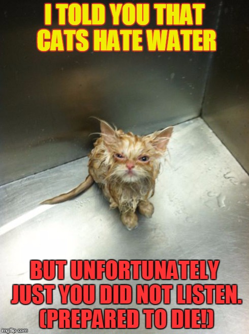 Kill You Cat | I TOLD YOU THAT CATS HATE WATER BUT UNFORTUNATELY JUST YOU DID NOT LISTEN. (PREPARED TO DIE!) | image tagged in memes,kill you cat | made w/ Imgflip meme maker