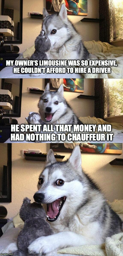 Bad Pun Dog | MY OWNER'S LIMOUSINE WAS SO EXPENSIVE, HE COULDN'T AFFORD TO HIRE A DRIVER HE SPENT ALL THAT MONEY AND HAD NOTHING TO CHAUFFEUR IT | image tagged in memes,bad pun dog | made w/ Imgflip meme maker