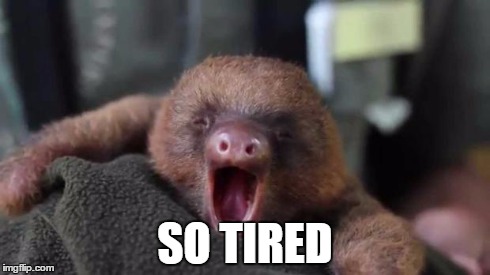 Yawning Sloth | SO TIRED | image tagged in yawning sloth | made w/ Imgflip meme maker