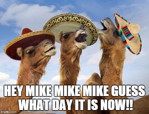 HEY MIKE MIKE MIKE GUESS WHAT DAY IT IS NOW!! | image tagged in wednesday,cinco,next,day,camel | made w/ Imgflip meme maker