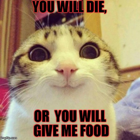 Smiling Cat Meme | YOU WILL DIE, OR  YOU WILL GIVE ME FOOD | image tagged in memes,smiling cat | made w/ Imgflip meme maker