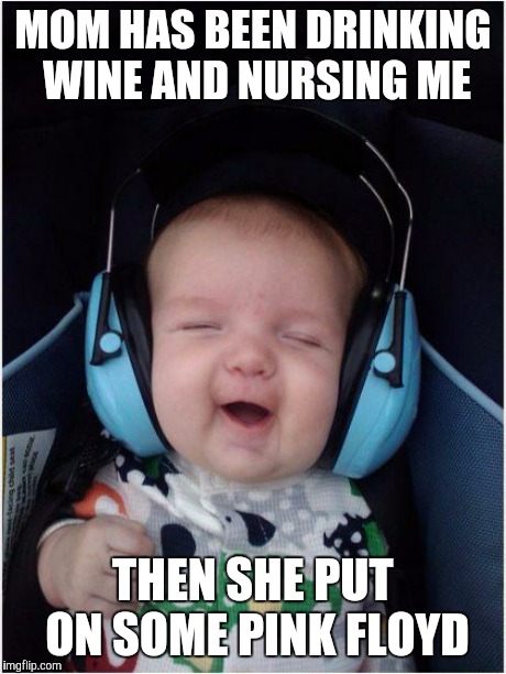 Jammin Baby | MOM HAS BEEN DRINKING WINE AND NURSING ME THEN SHE PUT ON SOME PINK FLOYD | image tagged in memes,jammin baby | made w/ Imgflip meme maker