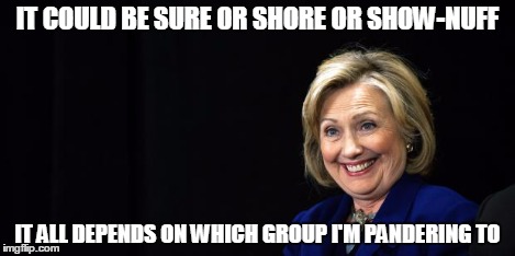 Hill Hill Hill Hill Hill Hillary chameleon | IT COULD BE SURE OR SHORE OR SHOW-NUFF IT ALL DEPENDS ON WHICH GROUP I'M PANDERING TO | image tagged in hillary,memes | made w/ Imgflip meme maker