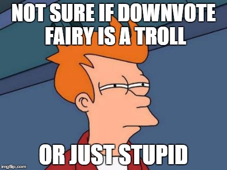 Futurama Fry Meme | NOT SURE IF DOWNVOTE FAIRY IS A TROLL OR JUST STUPID | image tagged in memes,futurama fry | made w/ Imgflip meme maker