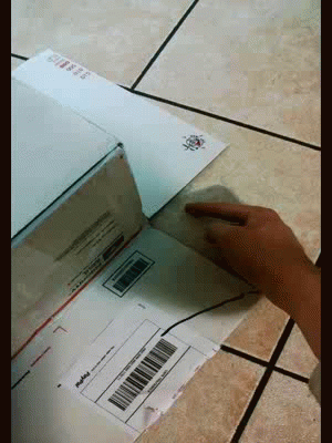 Generated image from gifs,funny,cats,boxes generated with the Imgflip Animated GIF Generator