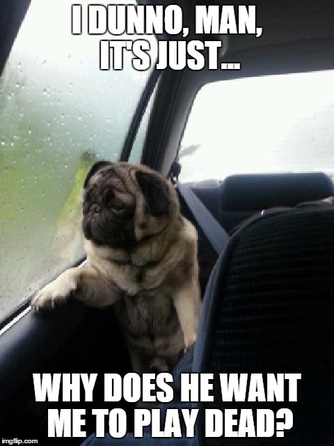 Introspective Pug | I DUNNO, MAN, IT'S JUST... WHY DOES HE WANT ME TO PLAY DEAD? | image tagged in introspective pug | made w/ Imgflip meme maker