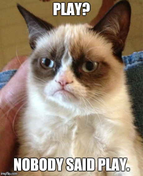 Grumpy Cat Meme | PLAY? NOBODY SAID PLAY. | image tagged in memes,grumpy cat | made w/ Imgflip meme maker