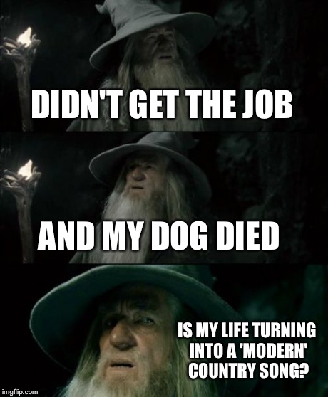 Confused Gandalf Meme | DIDN'T GET THE JOB AND MY DOG DIED IS MY LIFE TURNING INTO A 'MODERN' COUNTRY SONG? | image tagged in memes,confused gandalf | made w/ Imgflip meme maker