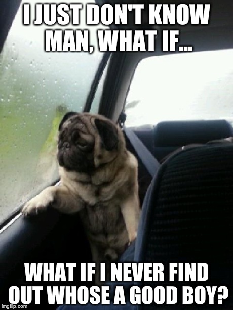 Introspective Pug | I JUST DON'T KNOW MAN, WHAT IF... WHAT IF I NEVER FIND OUT WHOSE A GOOD BOY? | image tagged in introspective pug | made w/ Imgflip meme maker