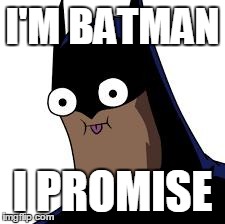 batman derp | I'M BATMAN I PROMISE | image tagged in batman derp | made w/ Imgflip meme maker