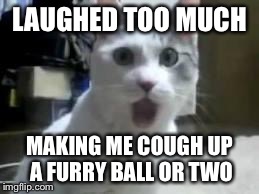 omg cat 2 | LAUGHED TOO MUCH MAKING ME COUGH UP A FURRY BALL OR TWO | image tagged in omg cat 2 | made w/ Imgflip meme maker