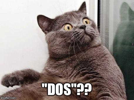 surprised cat | "DOS"?? | image tagged in surprised cat | made w/ Imgflip meme maker