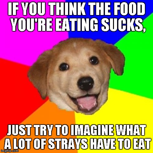 What I thought after someone didn't finish their mashed potato. It was from KFC. | IF YOU THINK THE FOOD YOU'RE EATING SUCKS, JUST TRY TO IMAGINE WHAT A LOT OF STRAYS HAVE TO EAT | image tagged in memes,advice dog | made w/ Imgflip meme maker
