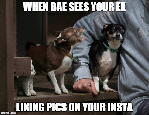 Swur, hadn't talked to her in years babe. | WHEN BAE SEES YOUR EX LIKING PICS ON YOUR INSTA | image tagged in bae,instagram,ex girlfriend,memes,oc | made w/ Imgflip meme maker