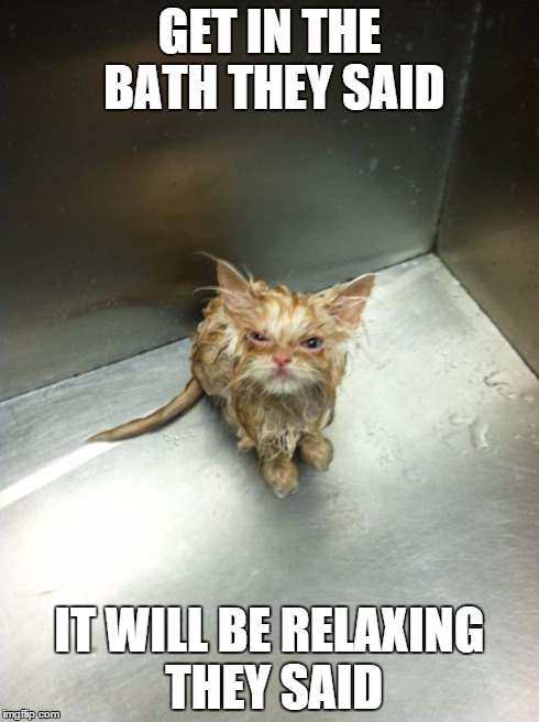 Kill You Cat Meme | GET IN THE BATH THEY SAID IT WILL BE RELAXING THEY SAID | image tagged in memes,kill you cat | made w/ Imgflip meme maker