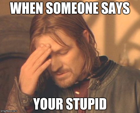 Frustrated Boromir | WHEN SOMEONE SAYS YOUR STUPID | image tagged in memes,frustrated boromir | made w/ Imgflip meme maker