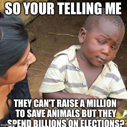 Real life | SO YOUR TELLING ME THEY CAN'T RAISE A MILLION TO SAVE ANIMALS BUT THEY SPEND BILLIONS ON ELECTIONS? | image tagged in memes,third world skeptical kid,money,funny,true,government | made w/ Imgflip meme maker