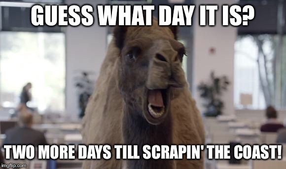 Hump Day Camel | GUESS WHAT DAY IT IS? TWO MORE DAYS TILL SCRAPIN' THE COAST! | image tagged in hump day camel | made w/ Imgflip meme maker