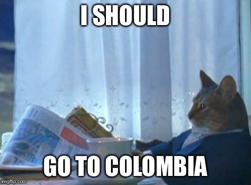 I Should Buy A Boat Cat Meme | I SHOULD GO TO COLOMBIA | image tagged in memes,i should buy a boat cat | made w/ Imgflip meme maker