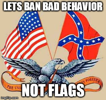 LETS BAN BAD BEHAVIOR NOT FLAGS | image tagged in freedom,american flag,political correctnes | made w/ Imgflip meme maker