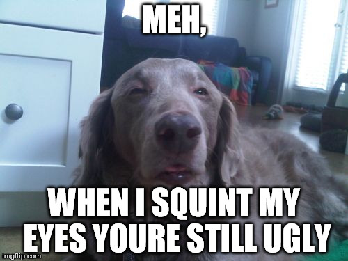 High Dog | MEH, WHEN I SQUINT MY EYES YOURE STILL UGLY | image tagged in memes,high dog | made w/ Imgflip meme maker
