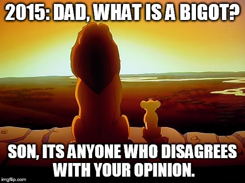 Lion King Meme | 2015: DAD, WHAT IS A BIGOT? SON, ITS ANYONE WHO DISAGREES WITH YOUR OPINION. | image tagged in memes,lion king | made w/ Imgflip meme maker