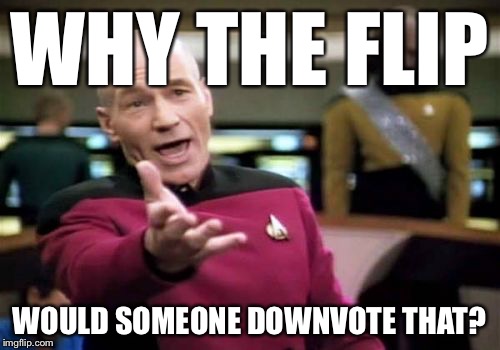 Picard Wtf Meme | WHY THE FLIP WOULD SOMEONE DOWNVOTE THAT? | image tagged in memes,picard wtf | made w/ Imgflip meme maker