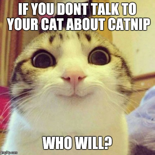 Smiling Cat Meme | IF YOU DONT TALK TO YOUR CAT ABOUT CATNIP WHO WILL? | image tagged in memes,smiling cat | made w/ Imgflip meme maker