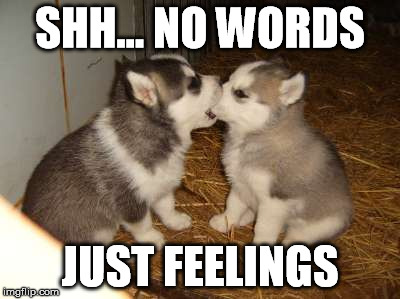 Cute Puppies | SHH... NO WORDS JUST FEELINGS | image tagged in memes,cute puppies | made w/ Imgflip meme maker