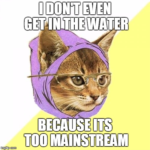 Hipster Kitty Meme | I DON'T EVEN GET IN THE WATER BECAUSE ITS TOO MAINSTREAM | image tagged in memes,hipster kitty | made w/ Imgflip meme maker