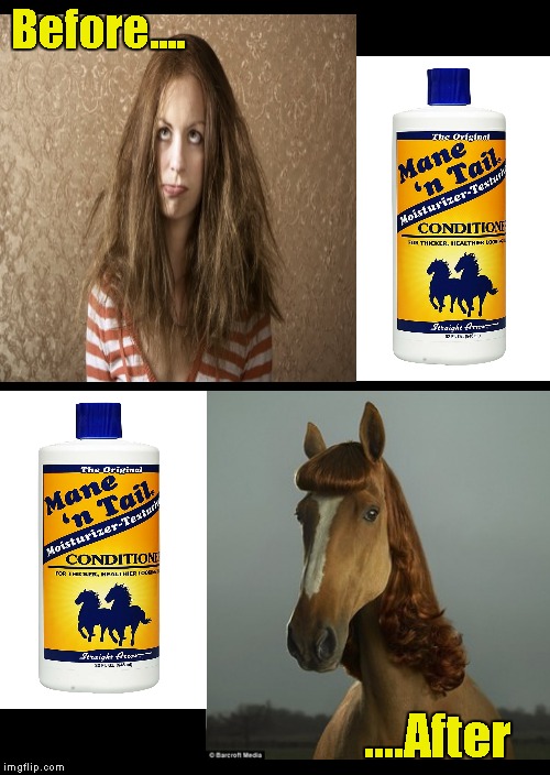 Betcha your girl has this in her bathroom..... | Before.... ....After | image tagged in funny memes,hair,horse | made w/ Imgflip meme maker