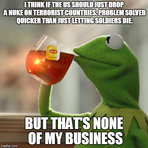 But That's None Of My Business Meme | I THINK IF THE US SHOULD JUST DROP A NUKE ON TERRORIST COUNTRIES. PROBLEM SOLVED QUICKER THAN JUST LETTING SOLDIERS DIE. BUT THAT'S NONE OF  | image tagged in memes,but thats none of my business,kermit the frog | made w/ Imgflip meme maker