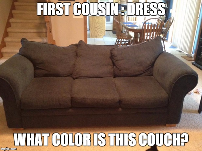 Navy Blue Couch | FIRST COUSIN : DRESS WHAT COLOR IS THIS COUCH? | image tagged in navy blue couch | made w/ Imgflip meme maker