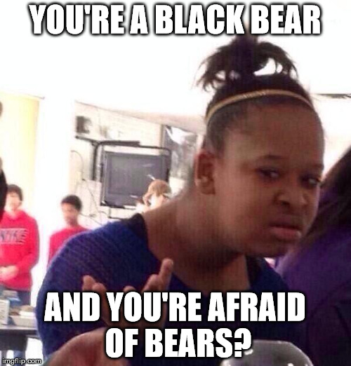 YOU'RE A BLACK BEAR AND YOU'RE AFRAID OF BEARS? | image tagged in memes,black girl wat | made w/ Imgflip meme maker
