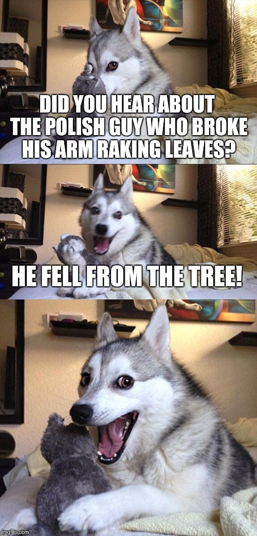 Bad Pun Dog | DID YOU HEAR ABOUT THE POLISH GUY WHO BROKE HIS ARM RAKING LEAVES? HE FELL FROM THE TREE! | image tagged in memes,bad pun dog | made w/ Imgflip meme maker