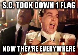 Good Fellas Hilarious Meme | S.C. TOOK DOWN 1 FLAG NOW THEY'RE EVERYWHERE | image tagged in ray liotta | made w/ Imgflip meme maker